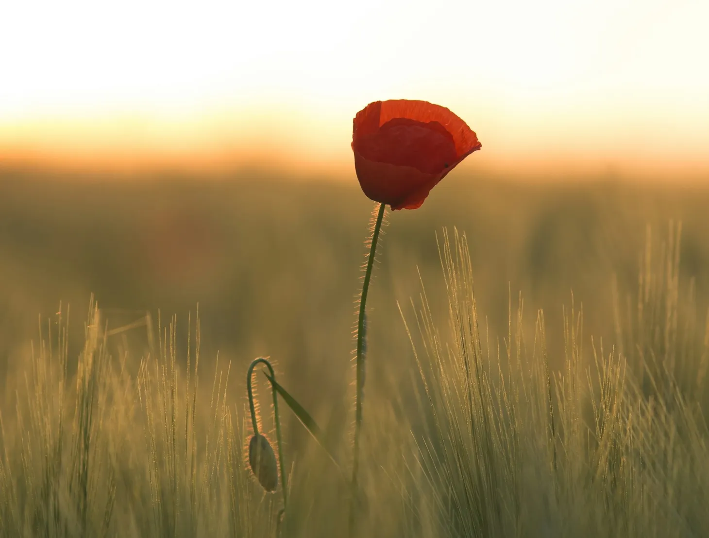 We are each a walking memorial
